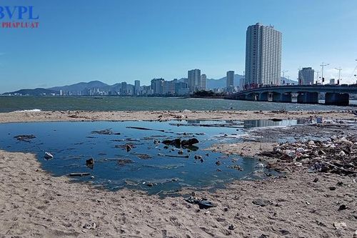 Khánh Hòa chỉ đạo xử lý nguồn xả thải gây ô nhiễm môi trường vịnh Nha Trang
