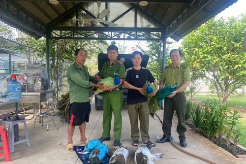 Công an xã Đông Thạnh tiếp nhận 9 cá thể công do dân giao nộp