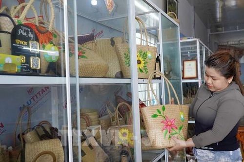 Loài cỏ vùng biên An Giang hóa túi xách thời trang