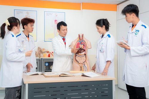 Thêm trường Đại học ở TP.HCM mở ngành Y khoa, thí sinh theo đuổi nghề bác sĩ có thêm cơ hội