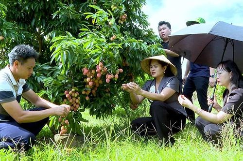 Quang Chiểu giảm nghèo thông tin, cải thiện đời sống người dân