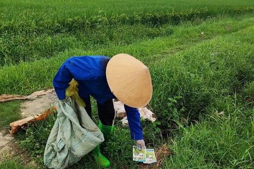 Bảo vệ môi trường từ việc xử lý vỏ thuốc trừ sâu trên đồng ruộng