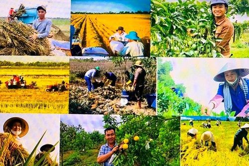 Nâng tầm vị thế nông dân Việt Nam trong kỷ nguyên vươn mình