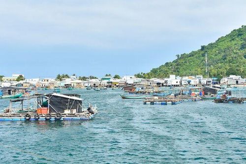 Sức sống mới ở đặc khu Kiên Hải