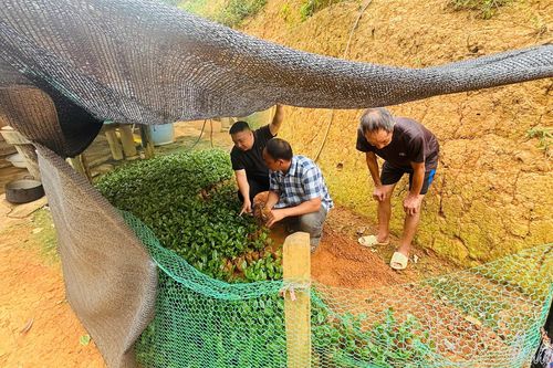 Huổi Khon - Bình yên từ lòng dân vững chắc (bài 2)