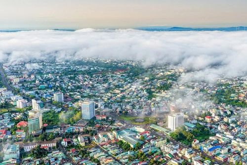 Gia Lai khẩn trương hoàn thiện, đồng bộ cơ sở dữ liệu đất đai