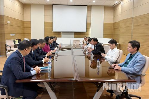 Tăng cường kết nối đầu tư, hợp tác giữa tỉnh Ninh Bình và các đối tác Hàn Quốc