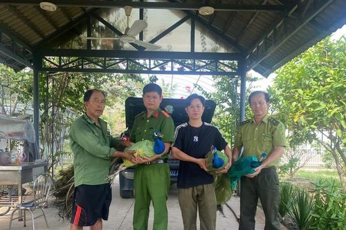 Công an xã vận động người dân tự nguyện giao nộp 9 cá thể công quý hiếm