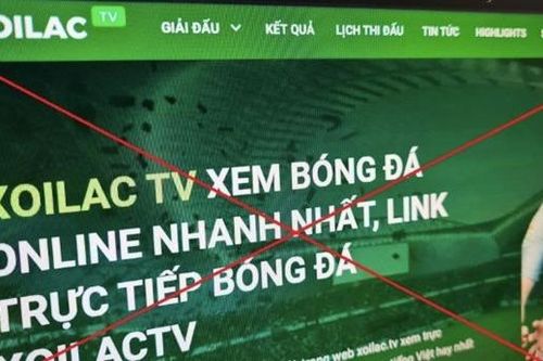Đẩy lùi vi phạm bản quyền trên không gian mạng