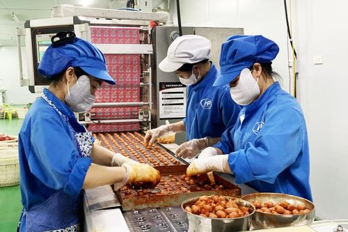 Đảm bảo an toàn vệ sinh thực phẩm mùa nắng nóng