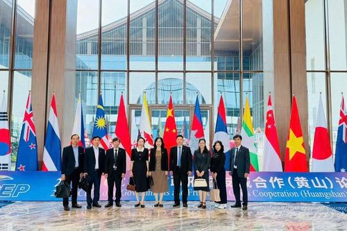 Tây Ninh tham gia chuỗi sự kiện khai mạc Diễn đàn hợp tác chính quyền địa phương và thành phố kết nghĩa RCEP