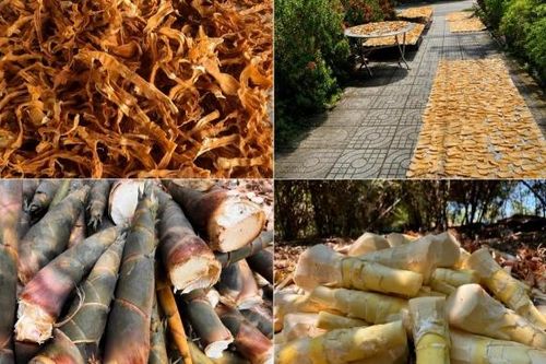 Làm giàu từ măng tre tứ quý hữu cơ giữa đại ngàn Đồng Kho