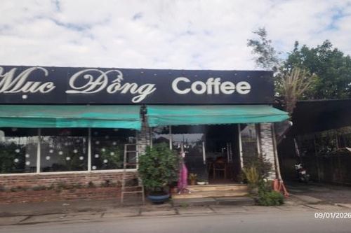Căn cứ pháp lý và hệ lụy của hành vi tự ý chuyển đổi đất nông nghiệp