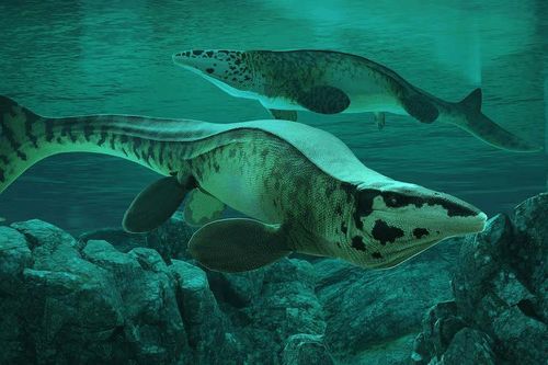 'T. rex của biển cả' lộ diện sau 80 triệu năm