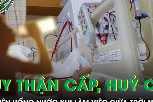Chàng trai 25 tuổi suy thận cấp, hủy cơ vì quên uống nước khi làm việc giữa trời nắng
