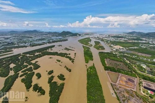 An Giang ra quân cao điểm 90 ngày thiết lập kỷ cương đất đai và trật tự đô thị