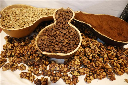 Bản tin nông sản hôm nay (30-5): Giá cà phê trong nước tăng