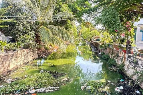 Kênh thoát nước ô nhiễm