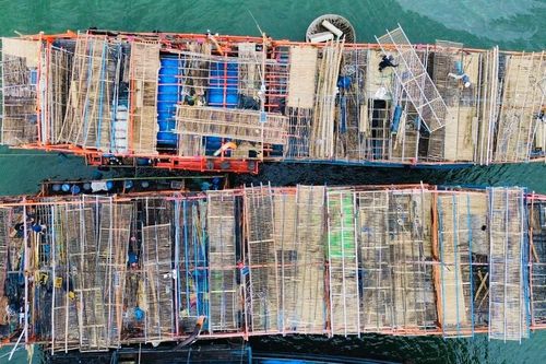 Chuyện lạ, ngư dân Quảng Ngãi bốc thăm 'chia đất' giữa biển khơi