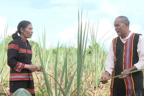 Thay đổi nếp nghĩ, cách làm của đồng bào vùng cao