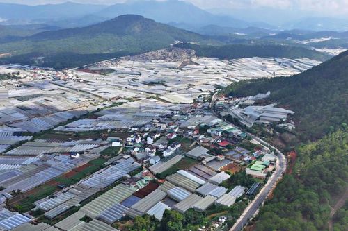 Lâm Đồng tăng cường quản trị môi trường dựa vào cộng đồng