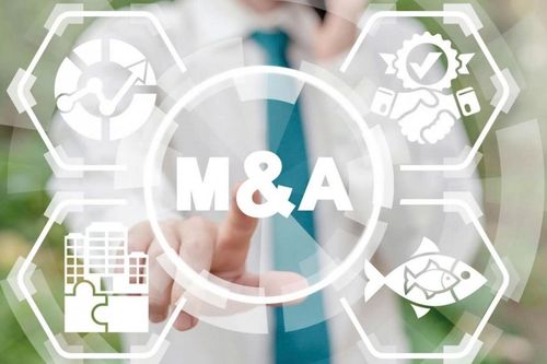 Doanh nghiệp niêm yết tăng tốc M&A cùng ngành