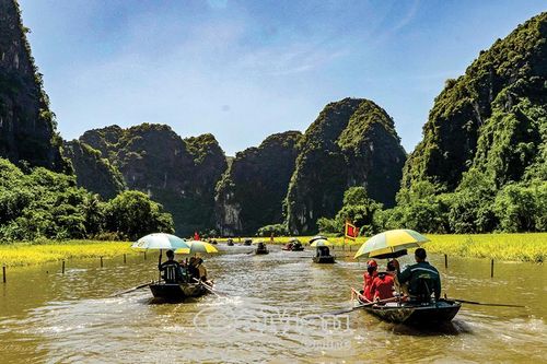 Sắc vàng Tam Cốc