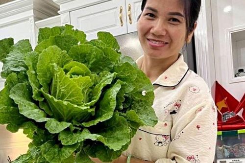 Mẹ 5 con ở Quảng Ninh biến sân thượng thành khu vườn, 11 năm gần như không mua rau ngoài chợ