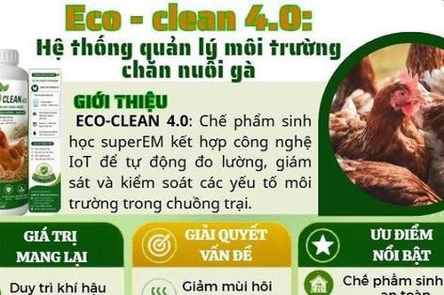 10 dự án vào chung kết cuộc thi khởi nghiệp nông nghiệp tại Huế