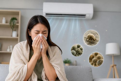 'Thủ phạm' khiến nhiều người hắt hơi, khó thở khi ở trong phòng điều hòa