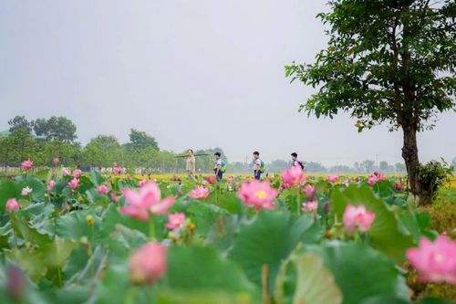 Thành phố Huế tổ chức loạt sự kiện hấp dẫn chào đón du khách trong tháng 6