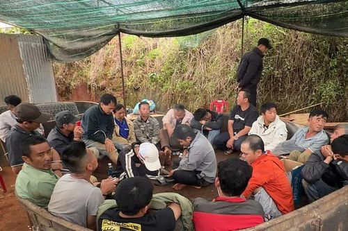 Triệt phá điểm đá gà ăn tiền, tạm giữ hơn 20 người
