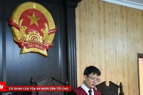 Dùng hóa chất cấm sản xuất giá đỗ, hai chủ cơ sở lĩnh án tù