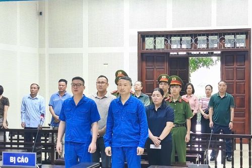Cựu giám đốc Công ty Viglacera Hạ Long 2 bị phạt 15 năm tù