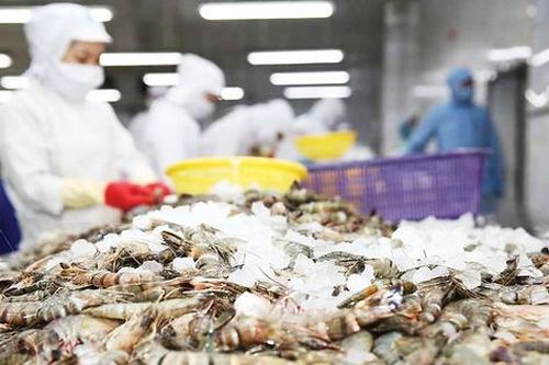Ghẹ Việt Nam rộng cửa vào Mỹ, tôm tiếp tục chịu sức ép