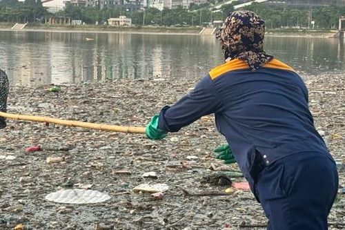 Hà Nội: Tái diễn tình trạng cá chết bốc mùi hôi thối ở công viên hơn 700 tỷ đồng