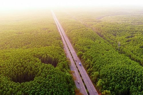 Metro Bến Thành - Cần Giờ giảm gần 3.000 tỉ đồng chi phí giải phóng mặt bằng