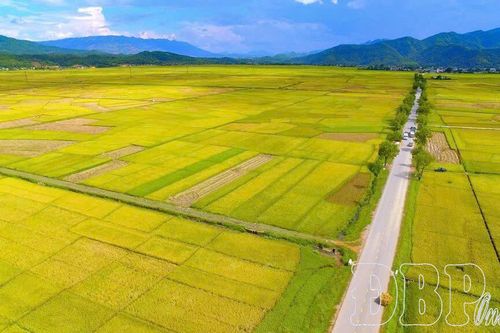 Khoảng lặng của cánh đồng