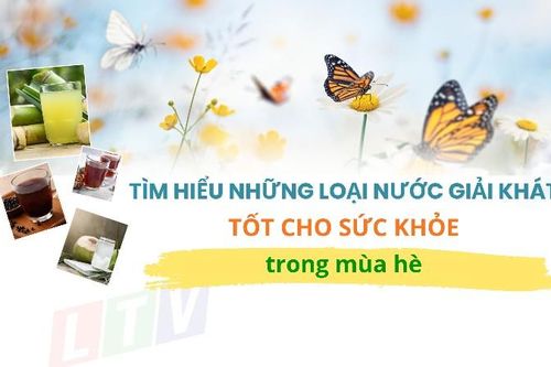Tìm hiểu những loại nước giải khát tốt cho sức khỏe trong mùa hè