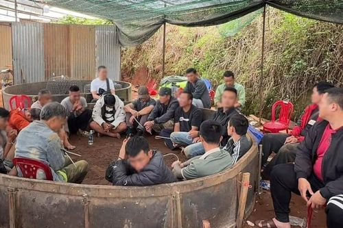 Công an Lâm Đồng bắt giữ hơn 20 đối tượng tại tụ điểm đá gà ăn tiền
