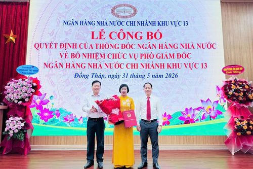 Bổ nhiệm bà Bùi Thị Thúy Hằng giữ chức Phó Giám đốc NHNN Khu vực 13