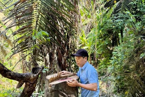 Ai đã lợi dụng hoàn cảnh đặc thù của hiện trường?