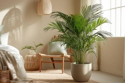 Trời nắng nóng, áp dụng ngay 6 mẹo này giúp hạ nhiệt căn nhà, nhiều người tiếc vì biết quá muộn