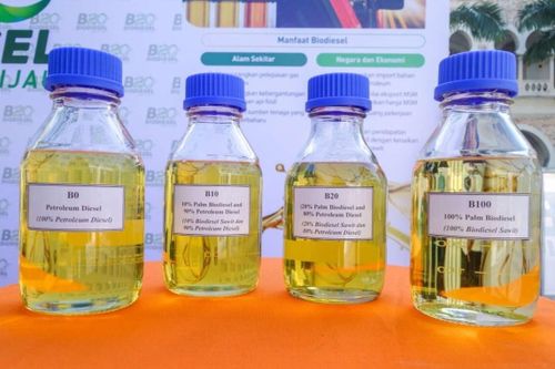 Dầu sinh học B15 được phổ cập tại Malaysia, có phải xe nào cũng hợp?