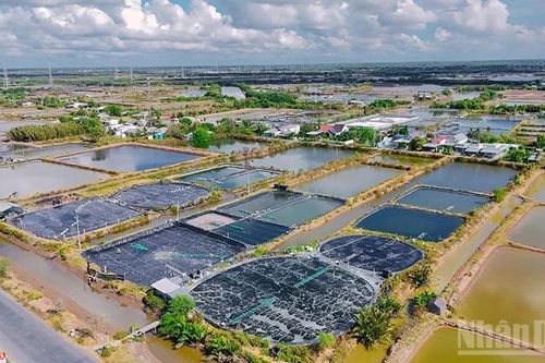 Vĩnh Long phát huy lợi thế kinh tế biển