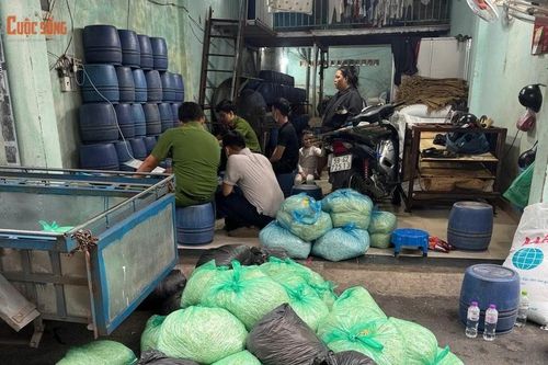 Hơn 1.000 tấn giá đỗ tẩm chất cấm bán khắp chợ, quán ăn ở TP HCM