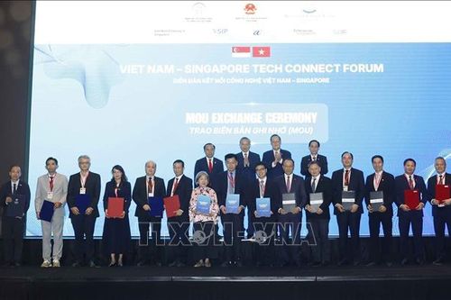 Việt Nam - Singapore mở rộng cơ hội hợp tác AI và đổi mới sáng tạo