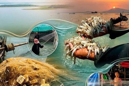 Theo chân người dân 'xóm Việt kiều' mưu sinh bên hồ Dầu Tiếng