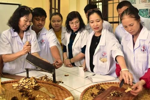 Bộ Y tế làm gì để 'cởi trói' cơ chế cho y học cổ truyền phát huy thế mạnh?