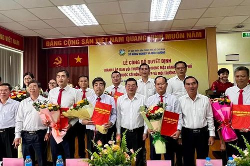 Thành lập Ban Bồi thường, giải phóng mặt bằng TPHCM